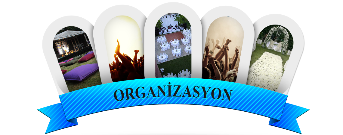 DSM ORGANİZASYON